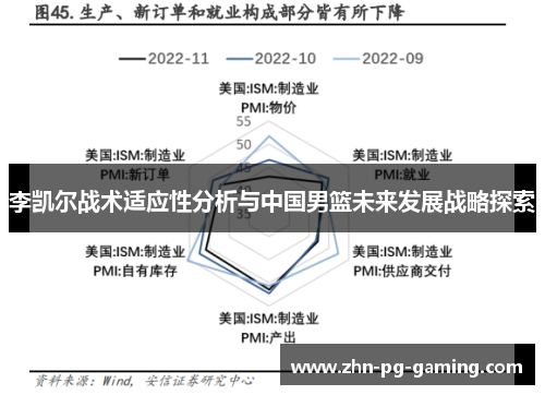 李凯尔战术适应性分析与中国男篮未来发展战略探索 李凯尔战术适应性分析与中国男篮未来发展战略探索